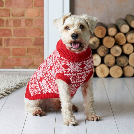 10 adorable dogs who love their Christmas jumpers | Blog | Let's Knit ...