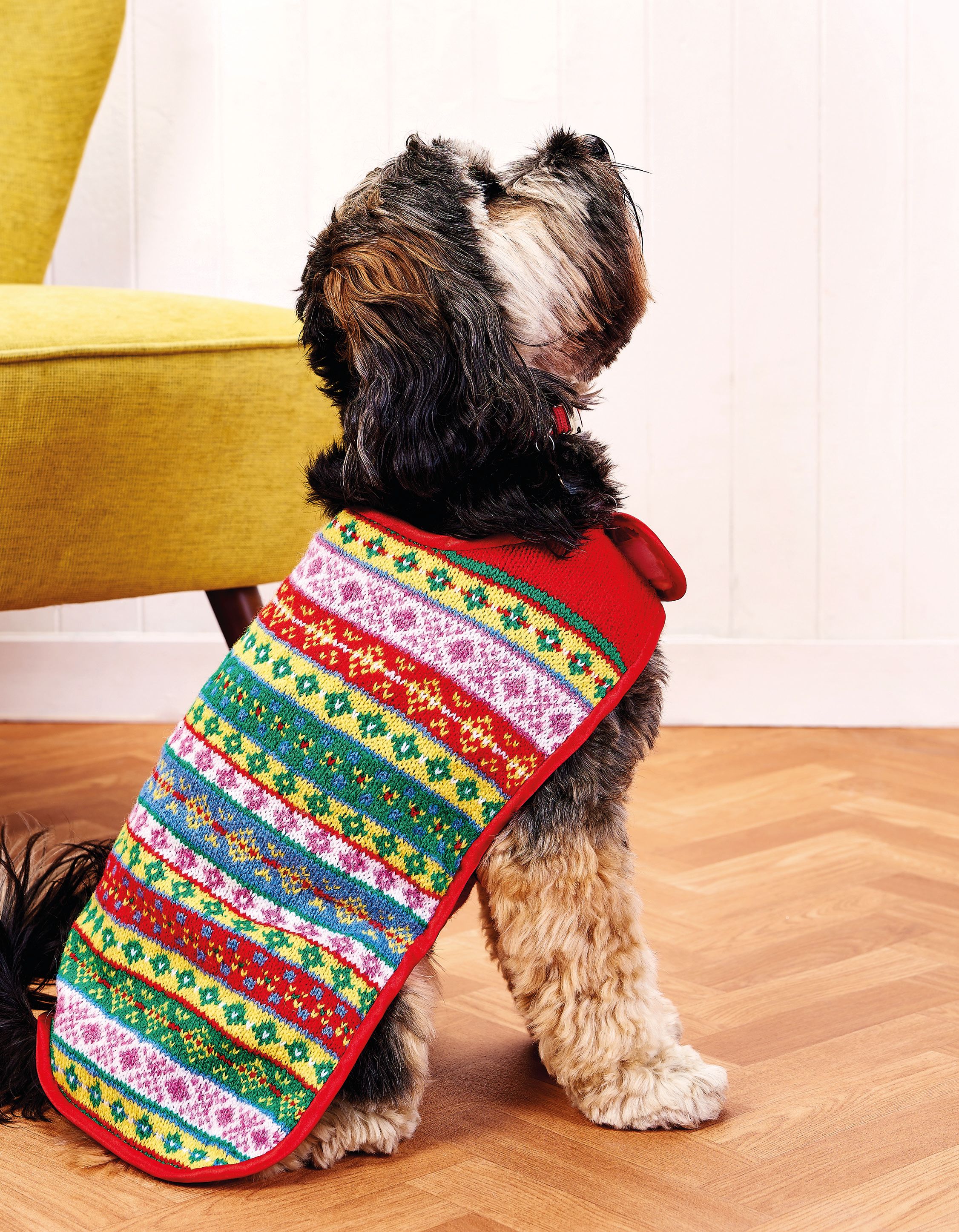 fair-isle-dog-coat-knitting-patterns-let-s-knit-magazine