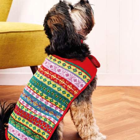 dog jumper patterns free